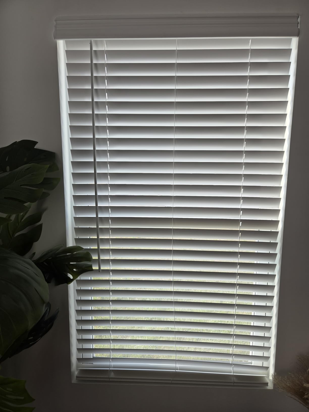 AOSKY 2 Inch Cordless Faux Wood Blinds, Indoor Window Shades, 34