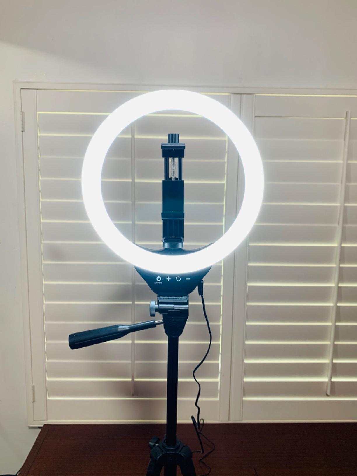 Torjim 12 Inch Video Light Kit for Creators | 30W High Brightness customer photo 1