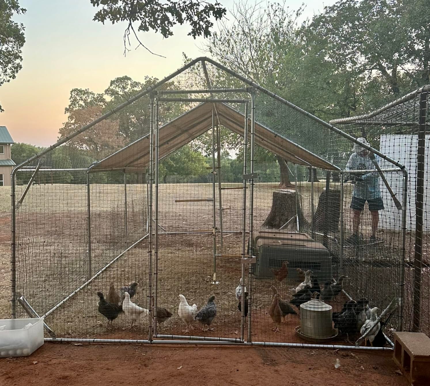 Quictent 12x9x6.6ft Large Metal Chicken Coop Run with Perch & Swing customer photo 1
