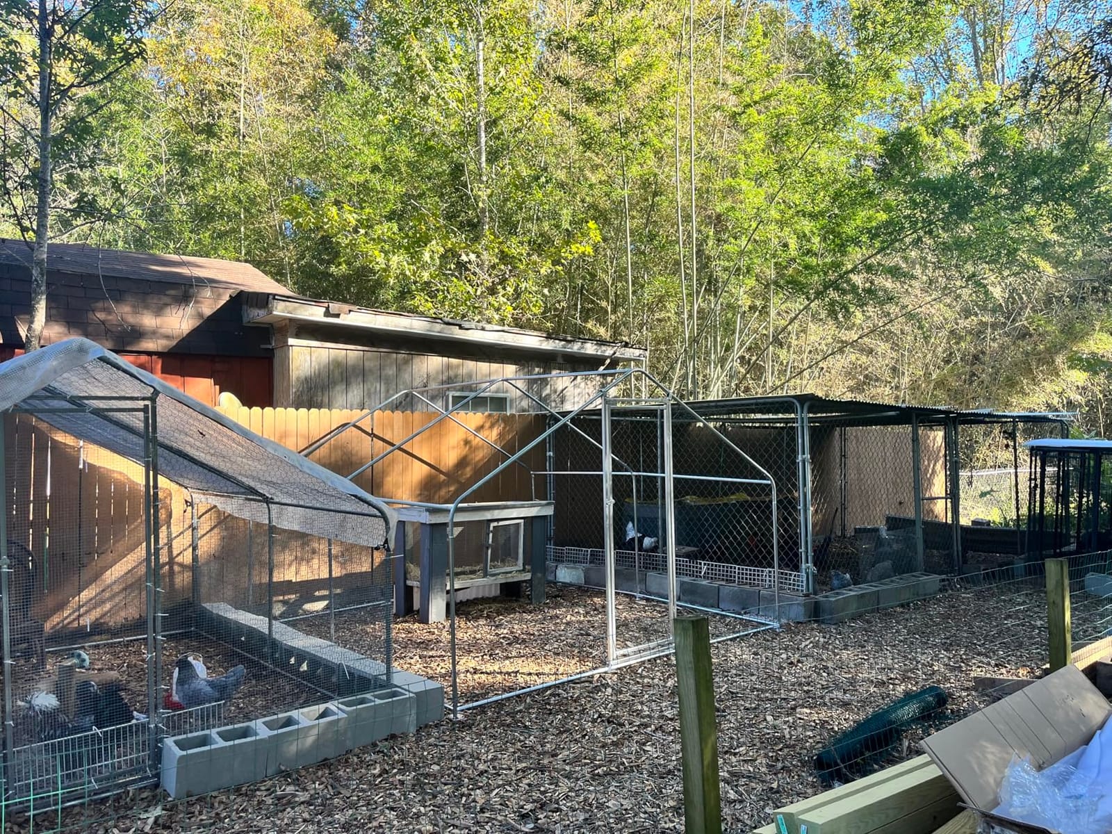Metal Chicken Coop with Hardware Cloth, Walk-in Poultry Cage for Hen Duck customer photo 2