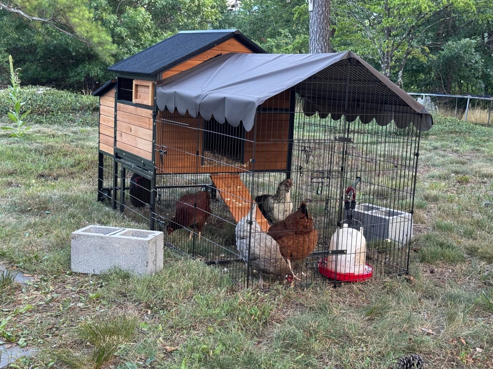 Mobile Chicken Coop with Wheels, Large 16.4ft² Chicken House for 6-8 Chickens, Weatherproof Chicken Tractor, with Nesting Boxes & Foldable Ramp, Easy Clean with Pull-Out Metal Trays customer photo 2