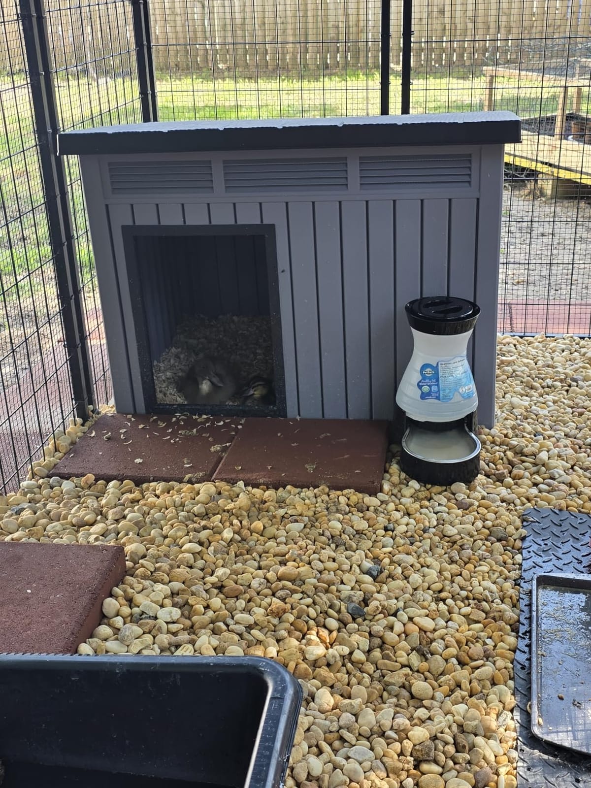 VIXZEN Outdoor Duck/Chicken House, Gray customer photo 2