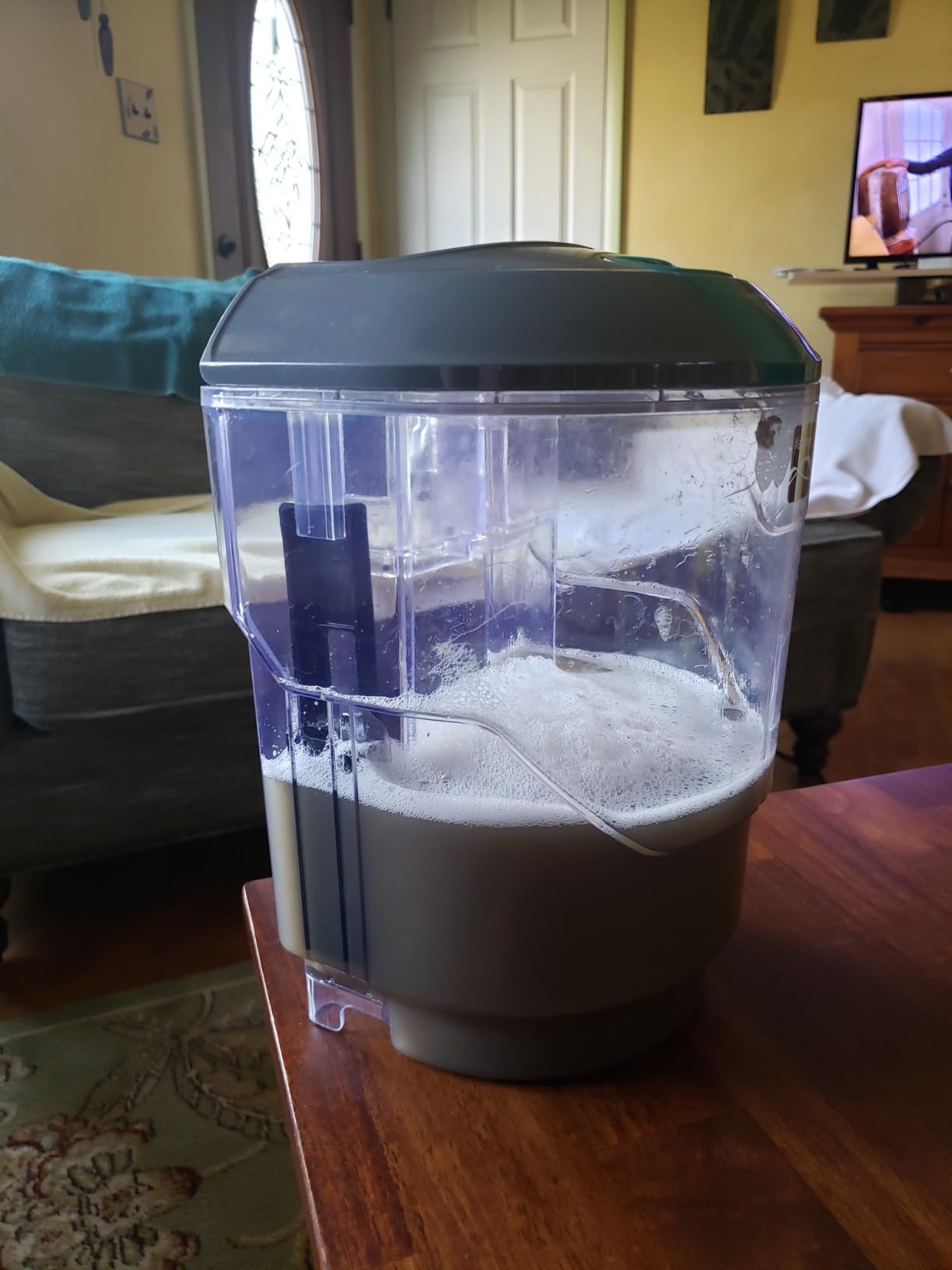 Kenmore SpotLite Go Pet Portable Carpet & Upholstery Cleaner Machine customer photo 1
