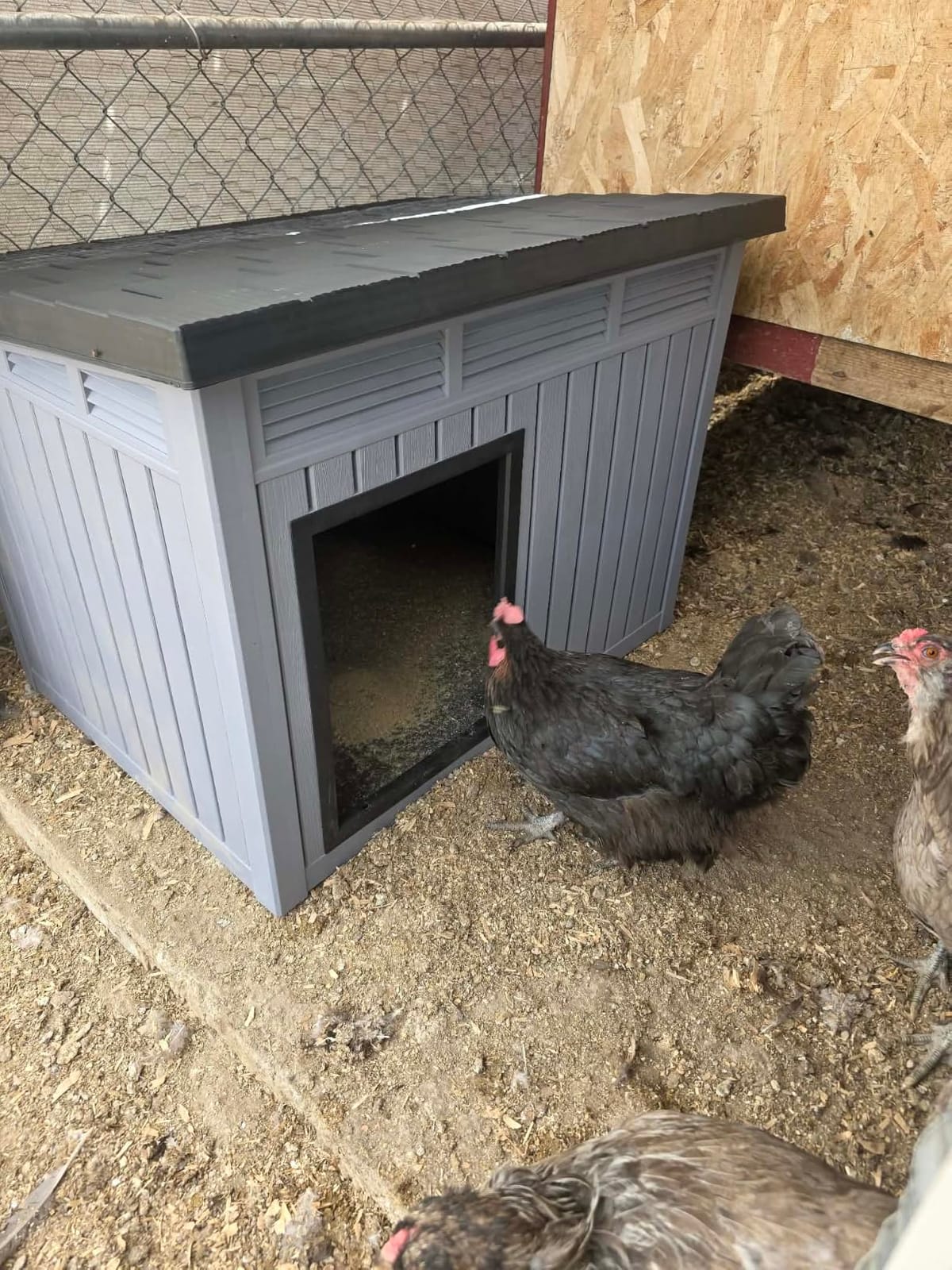Vixzen Outdoor Duck House, PP Resin Material with Spacious Interior Poultry Shelter, Gas Strut Opening Top & Shutter Vents Chicken Coop for Easy Cleaning and Storage Use in Outdoor(Black) customer photo 2
