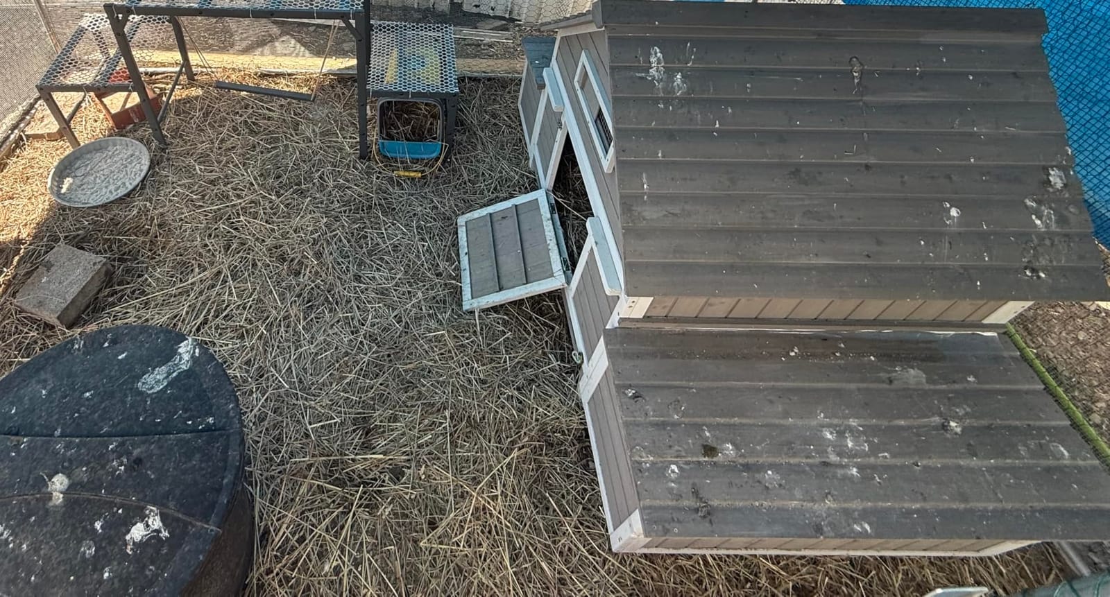 Large Chicken Coop with Wheels, Outdoor Hen House Tractor for 3-6 Chickens customer photo 1