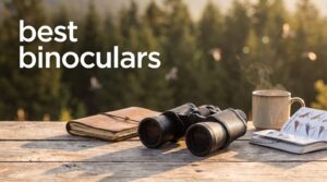 best binoculars
