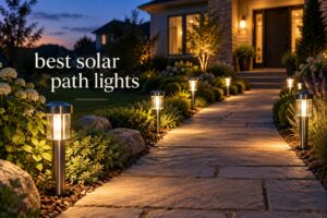 best solar path lights
