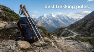 best trekking poles