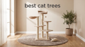 best cat trees