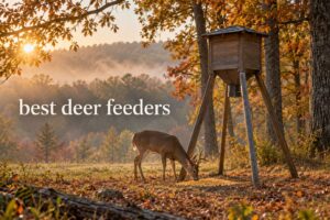 best deer feeders
