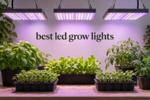 best led grow lights