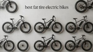 best fat tire electric bikes