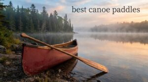 best canoe paddles