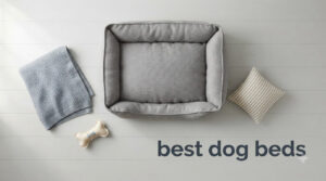 best dog beds
