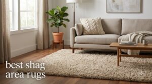 best shag area rugs