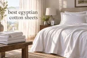 best egyptian cotton sheets