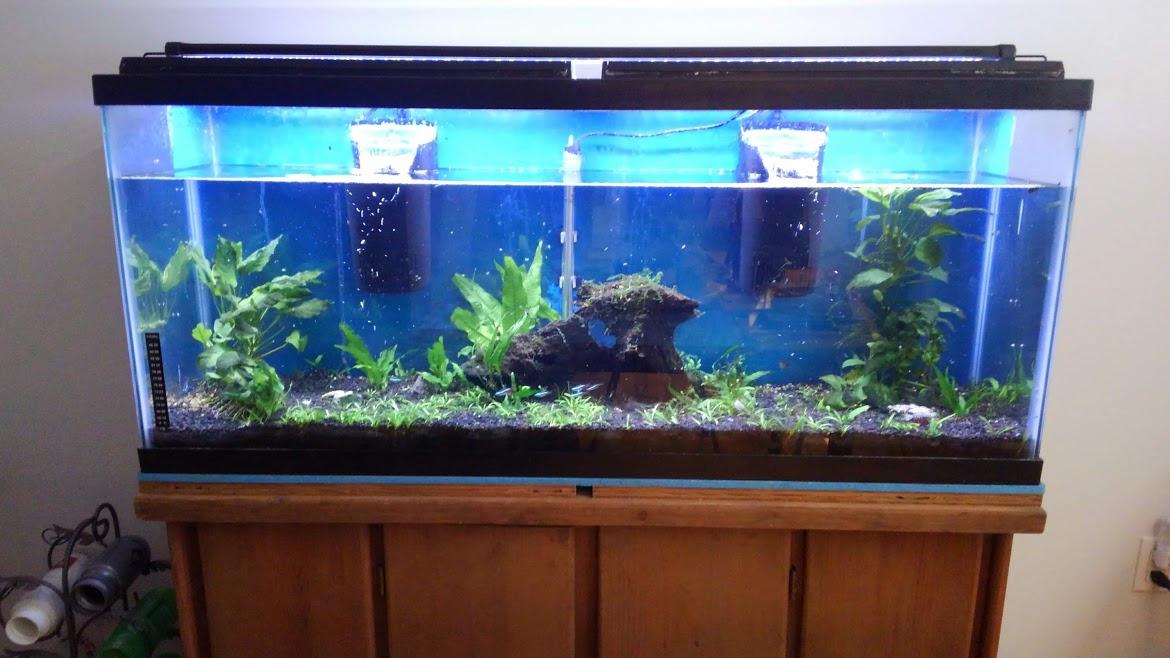 Tetra Whisper 85 GPH Internal Power Filter For Aquariums customer photo 2
