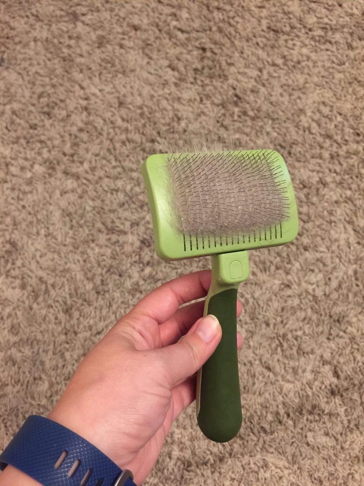 Coastal Pet Safari Cat Self Cleaning Slicker Brush, Cat Grooming Supplies customer photo 1