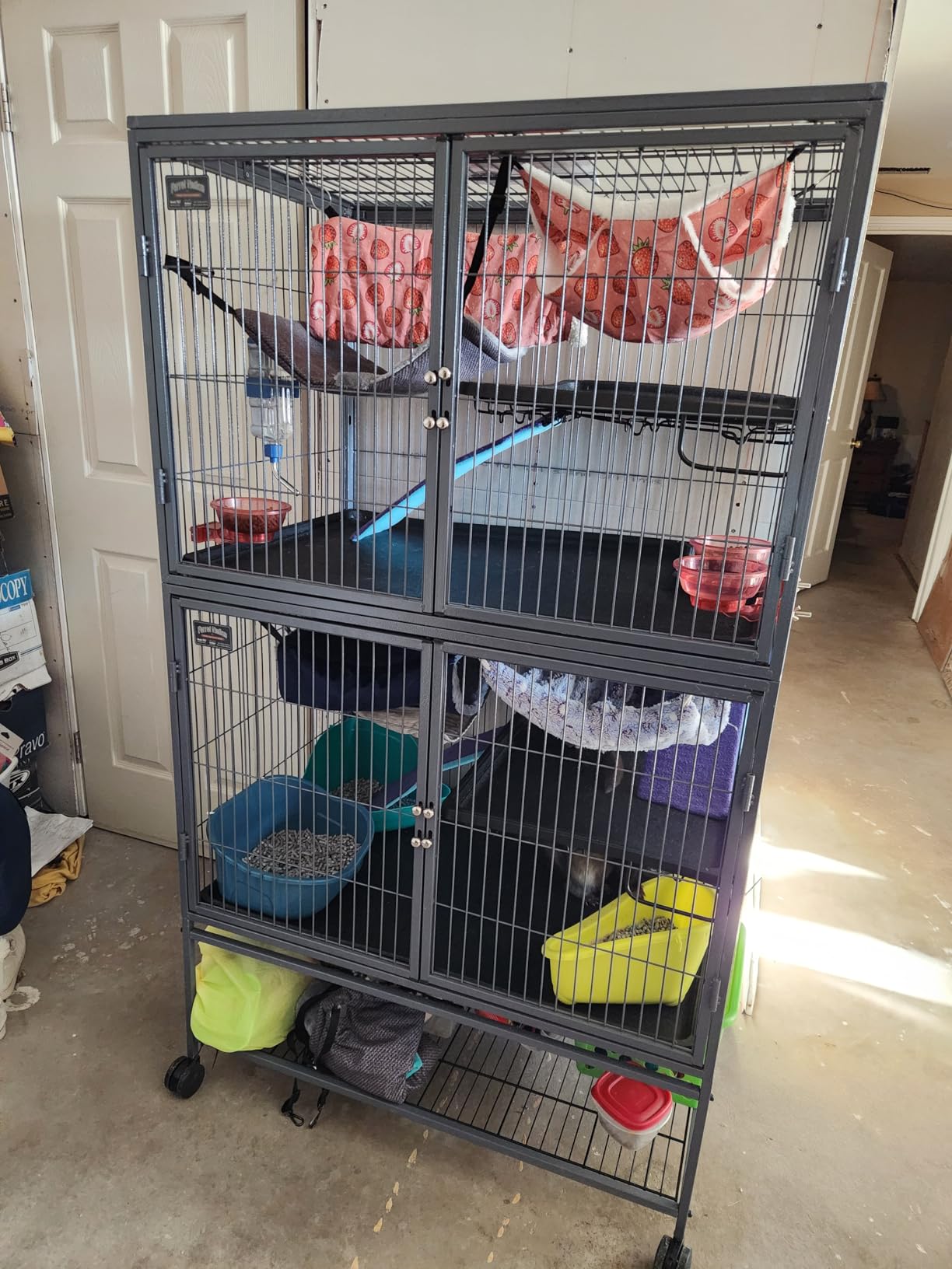 MidWest Homes for Pets Ferret Nation Double Unit Small Animal Cage, 4 Tiers, Includes Pans, Shelves, Ramps & Covers, For Ferrets & Small Animals customer photo 1