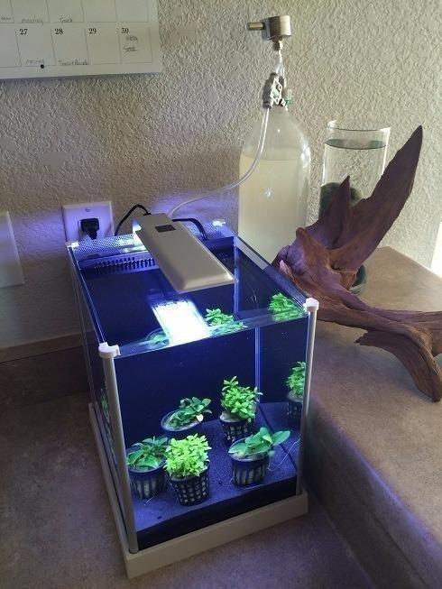 Fluval SPEC Freshwater Aquarium Kit, 2.6 Gallon, Black customer photo 2
