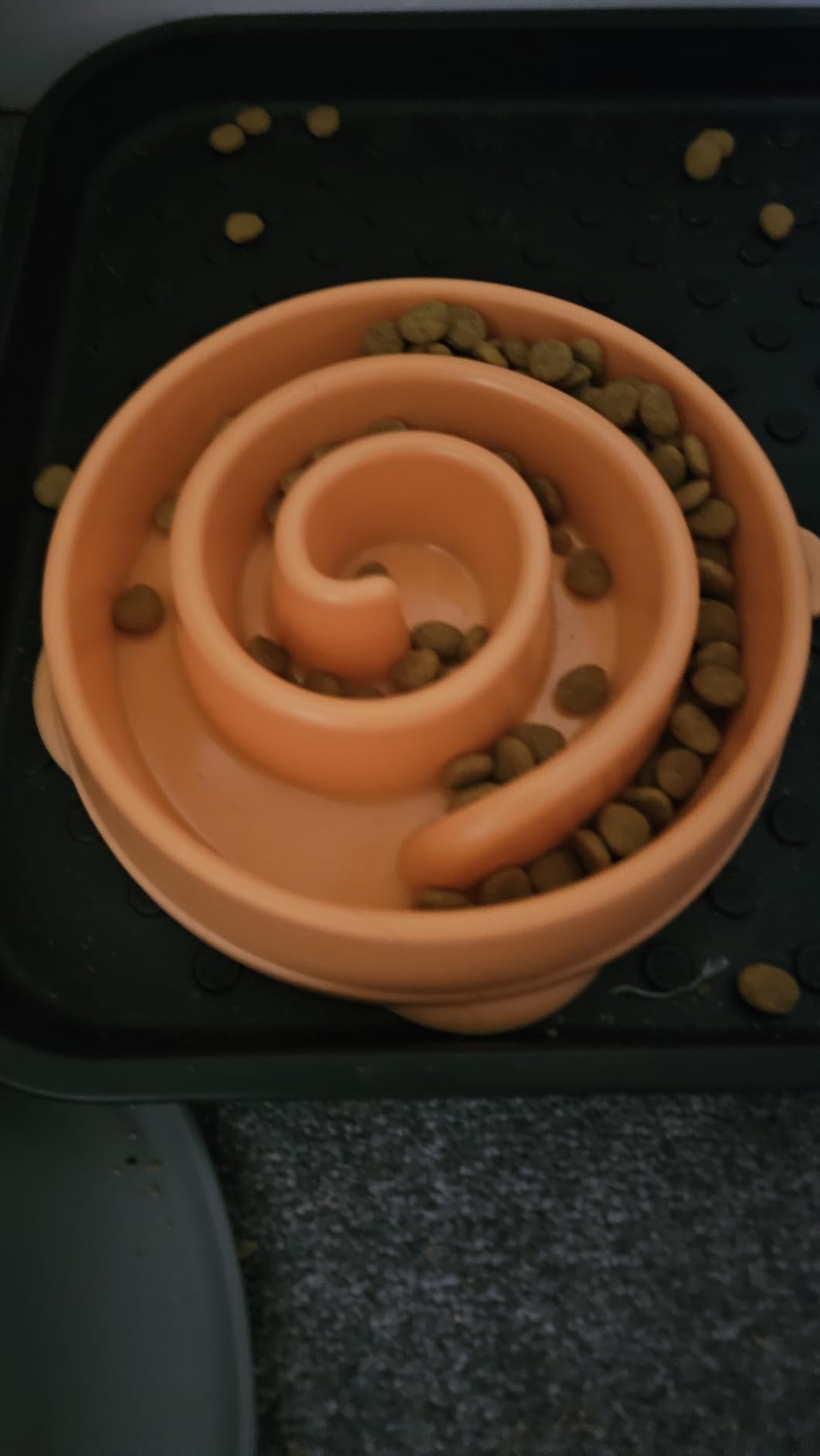 Outward Hound Fun Feeder Slo Bowl – Large 4‑Cup Capacity, Slow Feeding, Medium to Large Dogs, Non‑Slip, Turquoise, Drop Pattern customer photo 2