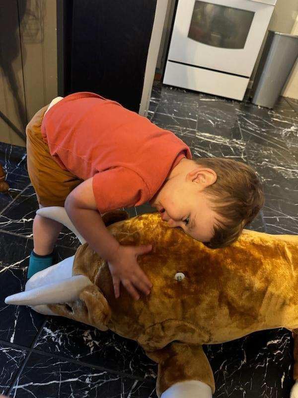 Qaba Kids Spring Rocking Horse Rodeo Bull Style with Realistic Sounds customer photo 1
