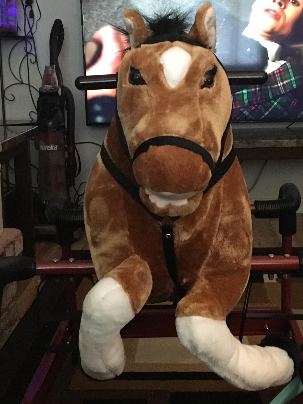 Qaba Spring Rocking Horse Durable Plush for Toddlers with Realistic Sounds customer photo 2