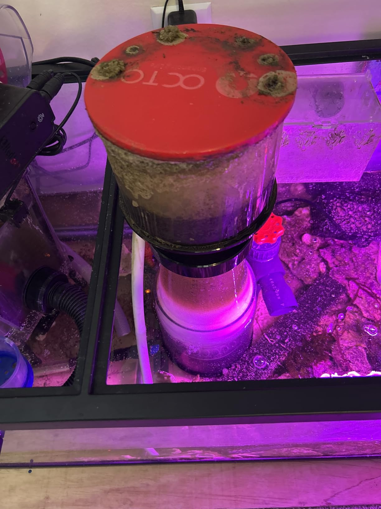 Reef Octopus Classic 150INT Protein Skimmer customer photo 2