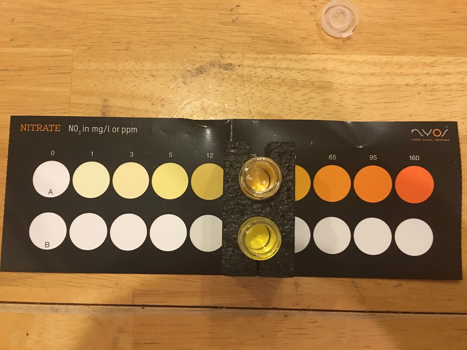 NYOS® Nitrate Reefer Test Kit for Saltwater Aquariums - Lab-Grade Precision - 40 Tests - Glass Vials - Slide Comparator Included customer photo 1