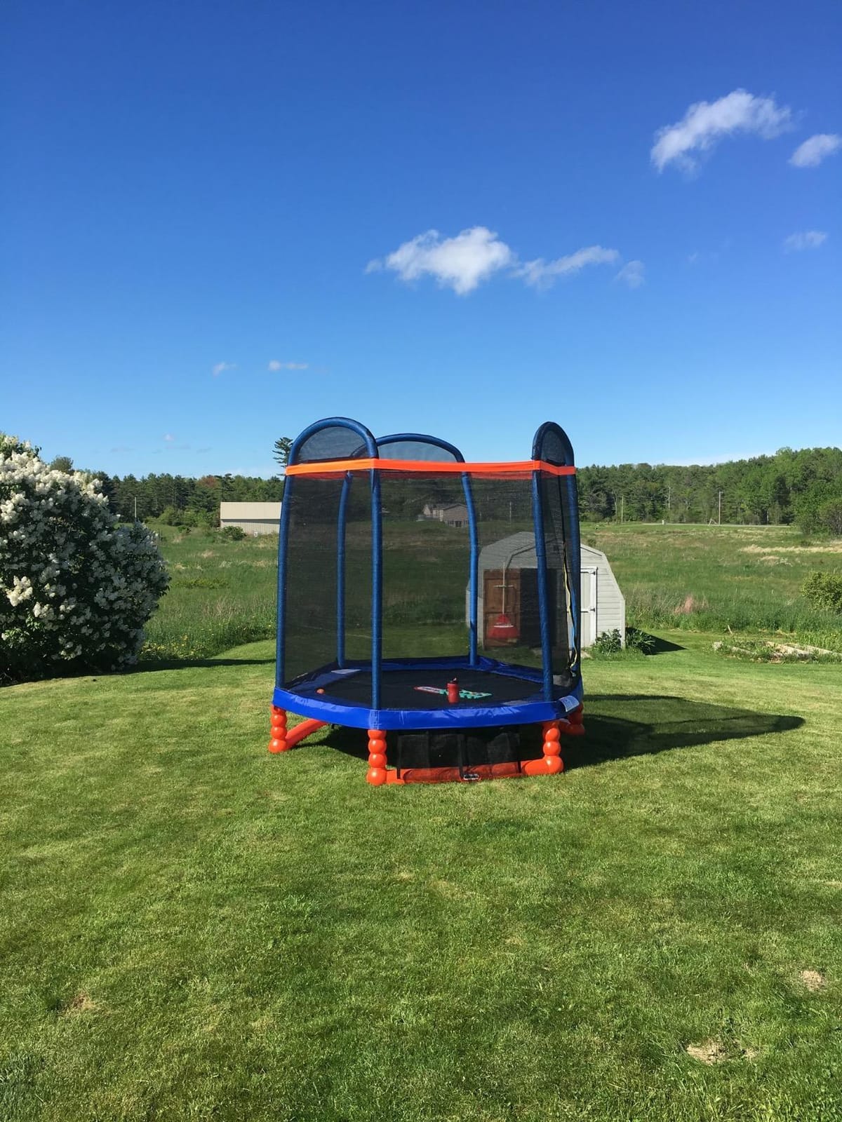 Little Tikes 7' Trampoline customer photo 2