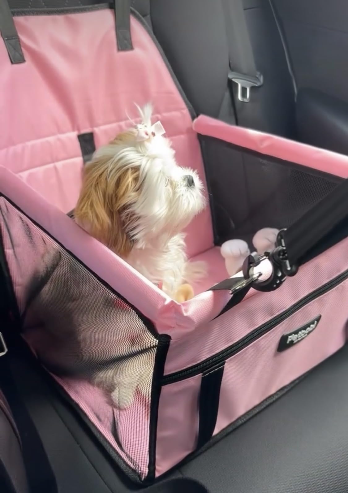 Petbobi Dog Car Seat for Small Dogs and Cats up to 15 lbs, Portable Booster customer photo 2