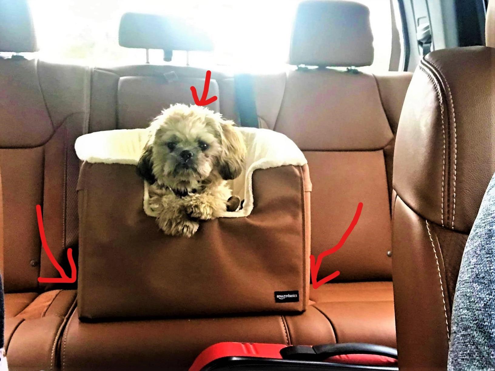 Amazon Basics Dog Car Seat Booster for Small Dogs up to 25lbs, Washable Removable Cover, Safety Leash, Elevated View for Window, 18