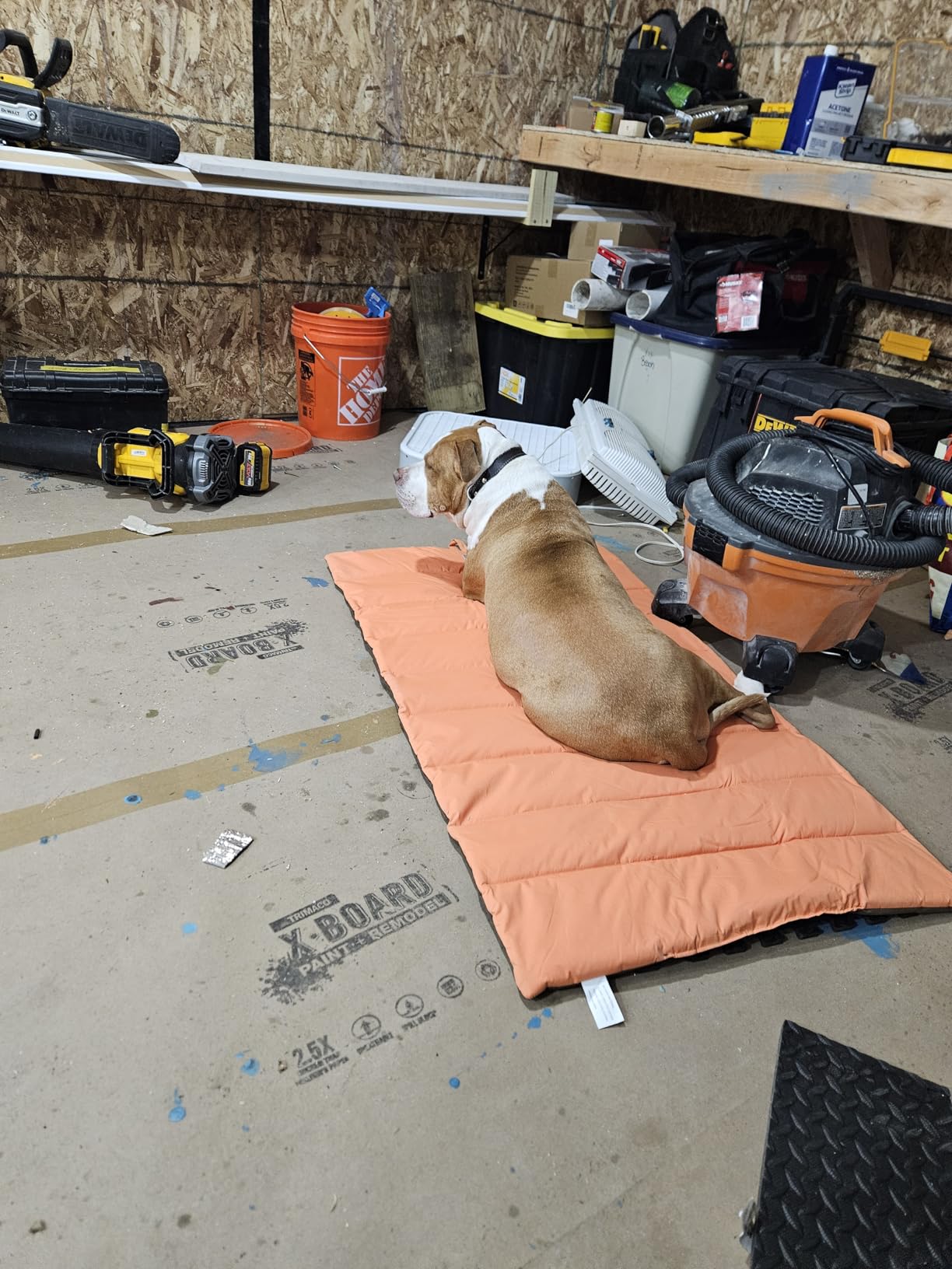 CHEERHUNTING Outdoor Dog Bed, Waterproof, Washable, Large Size, Durable, Water Resistant, Portable and Camping Travel Pet Mat customer photo 2