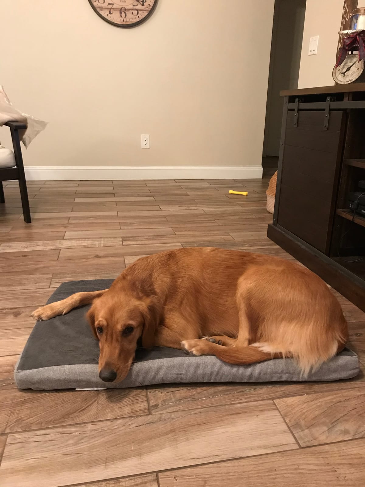 BarkBox Orthopedic Dog Bed with Memory Foam, Premium Comfort for Dogs and Puppies, Dog Bed for Joint Relief and Restful Sleep, Durable and Easy to Clean - Navy, Large customer photo 1