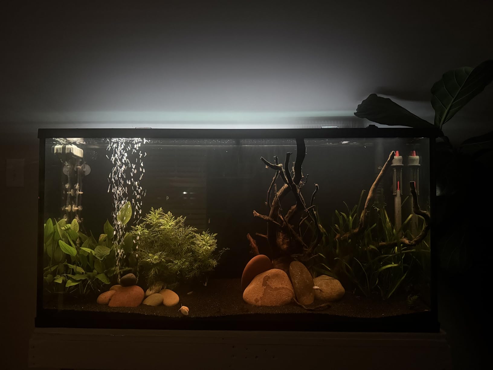 NICREW ClassicLED Plus LED Aquarium Light, 15W, for 18 to 24 Inch Fish Tank customer photo 2