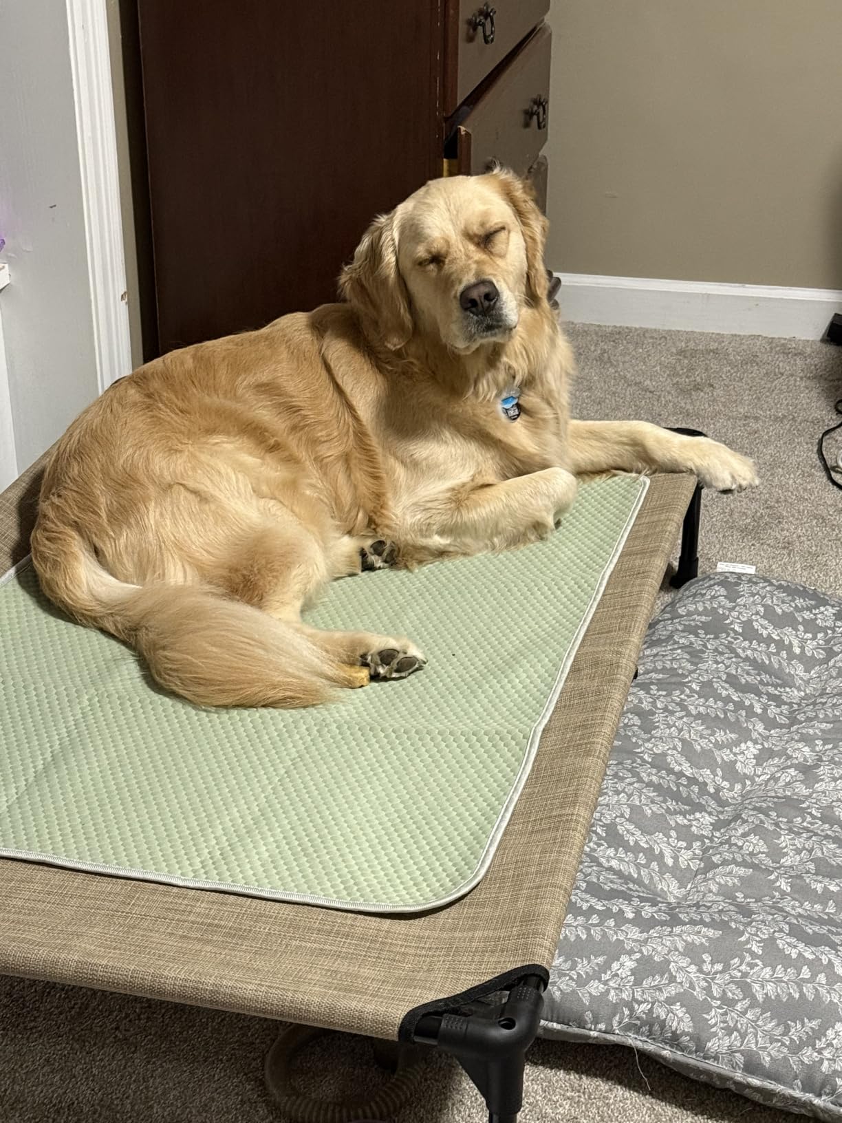 Veehoo Outdoor Elevated Dog Bed Large Sized Dogs, Cooling Raised Dog Cots customer photo 2
