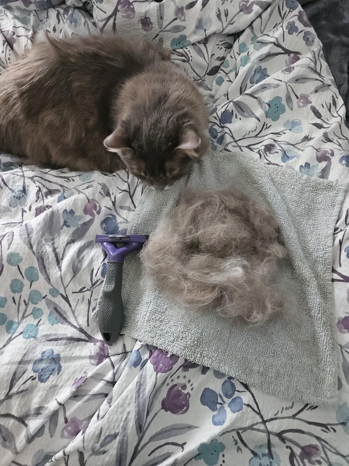FURminator Medium to Large Cat deShedding Tool for Long Hair customer photo 1
