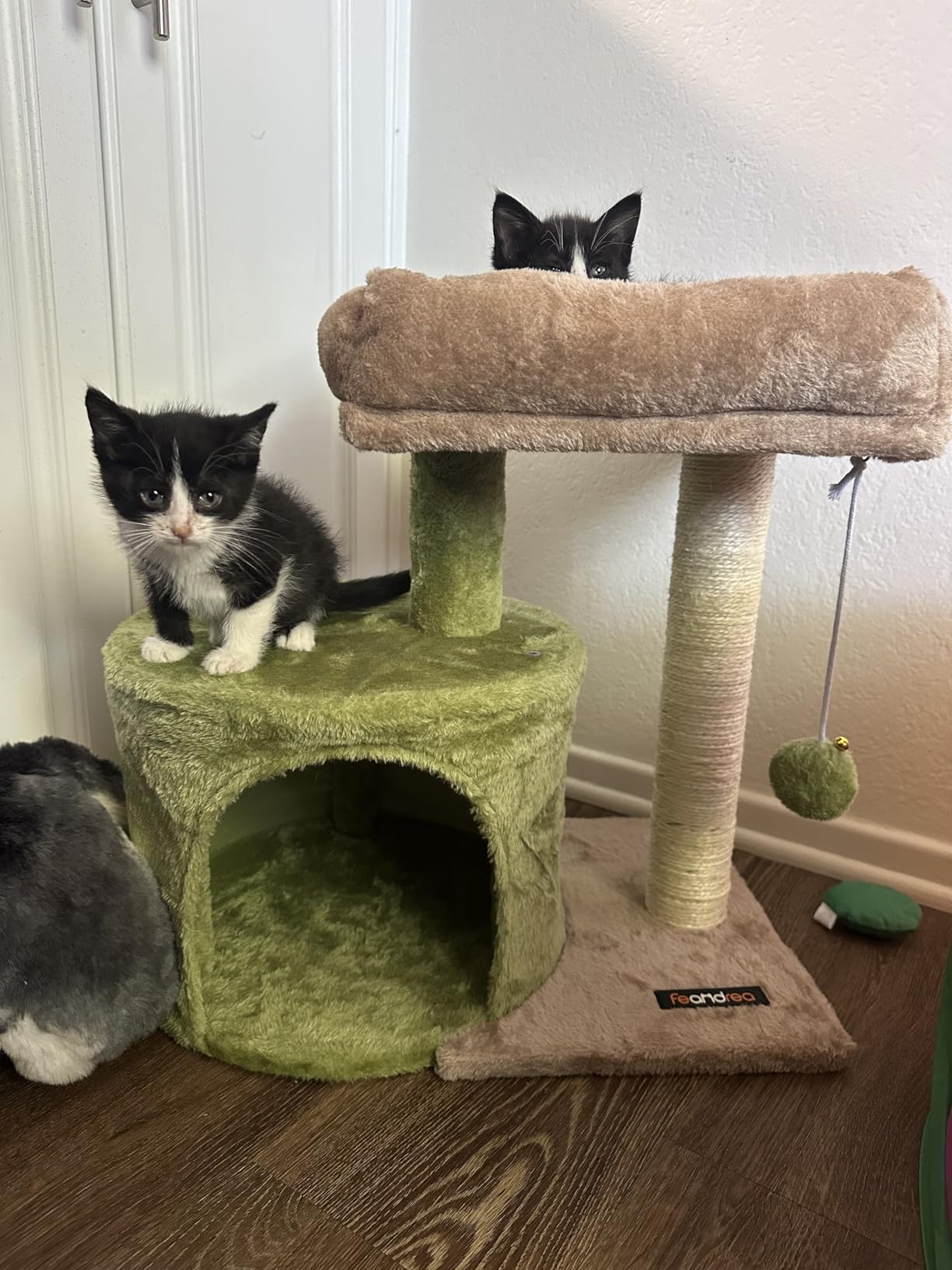 Feandrea Cat Tree, 18.5-in Small Cat Tower, Cute Kittens Condo, Light Gray customer photo 1