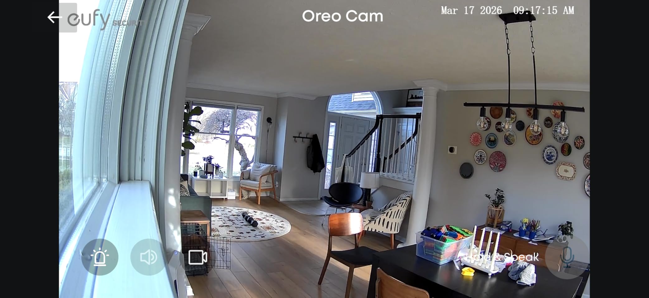 eufy Security Indoor Cam C120 | Plug-in Security Camera 3 MP | 2K with Wi-Fi | IP Camera | Voice Assistant Compatibility | Night Vision | Two-Way Audio | HomeBase 3 Compatible | Audio and Motion Alert customer photo 1