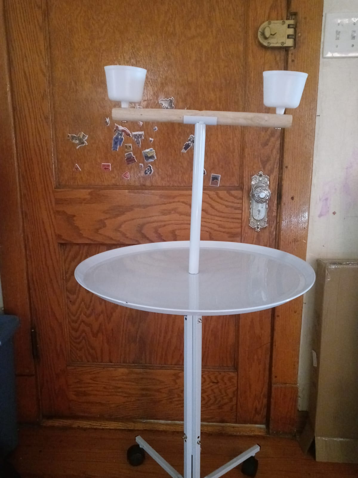 Large 47