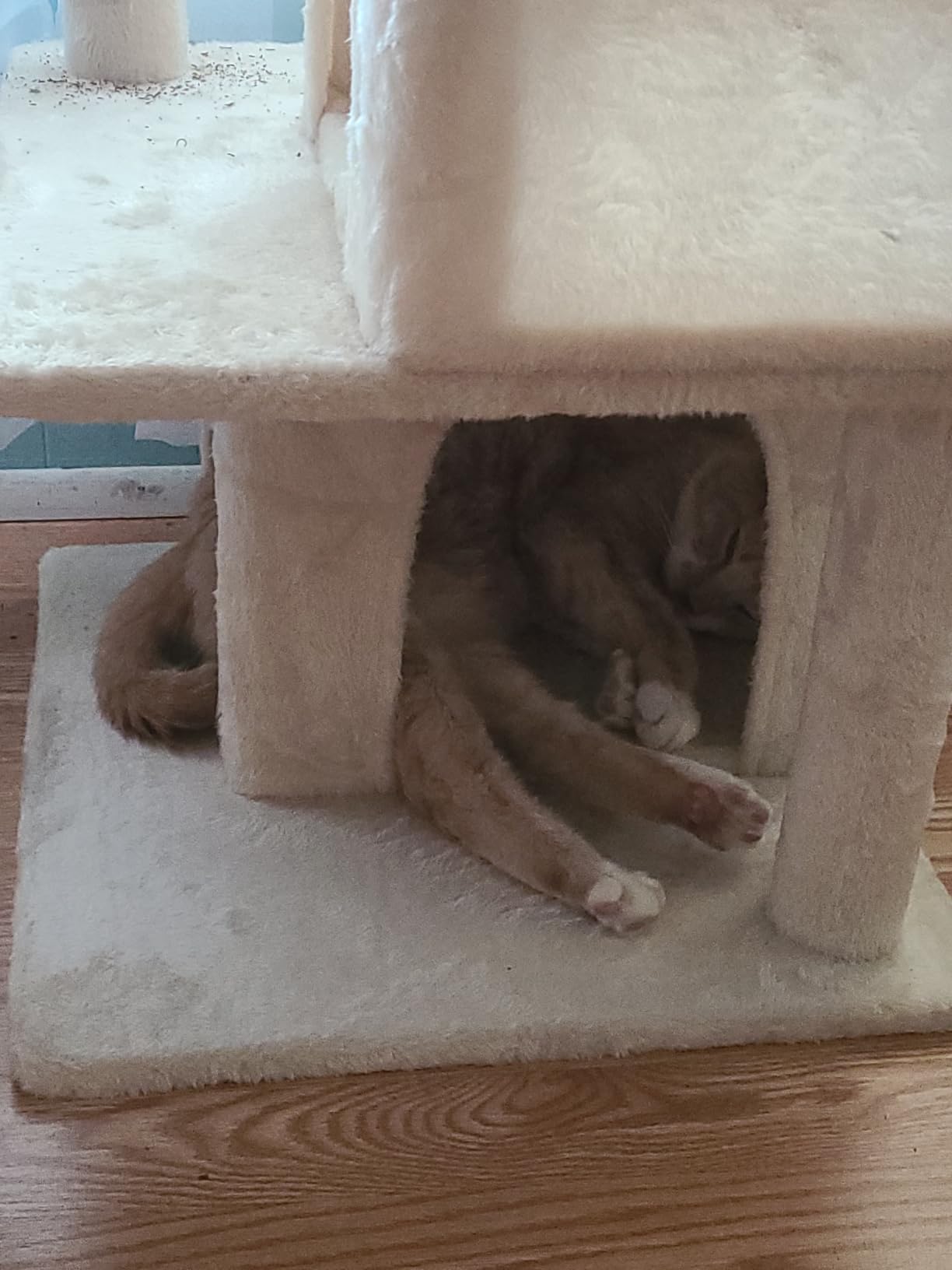 Yaheetech 36in Cat Tree Tower with Large Perch for Senior Kittens customer photo 2
