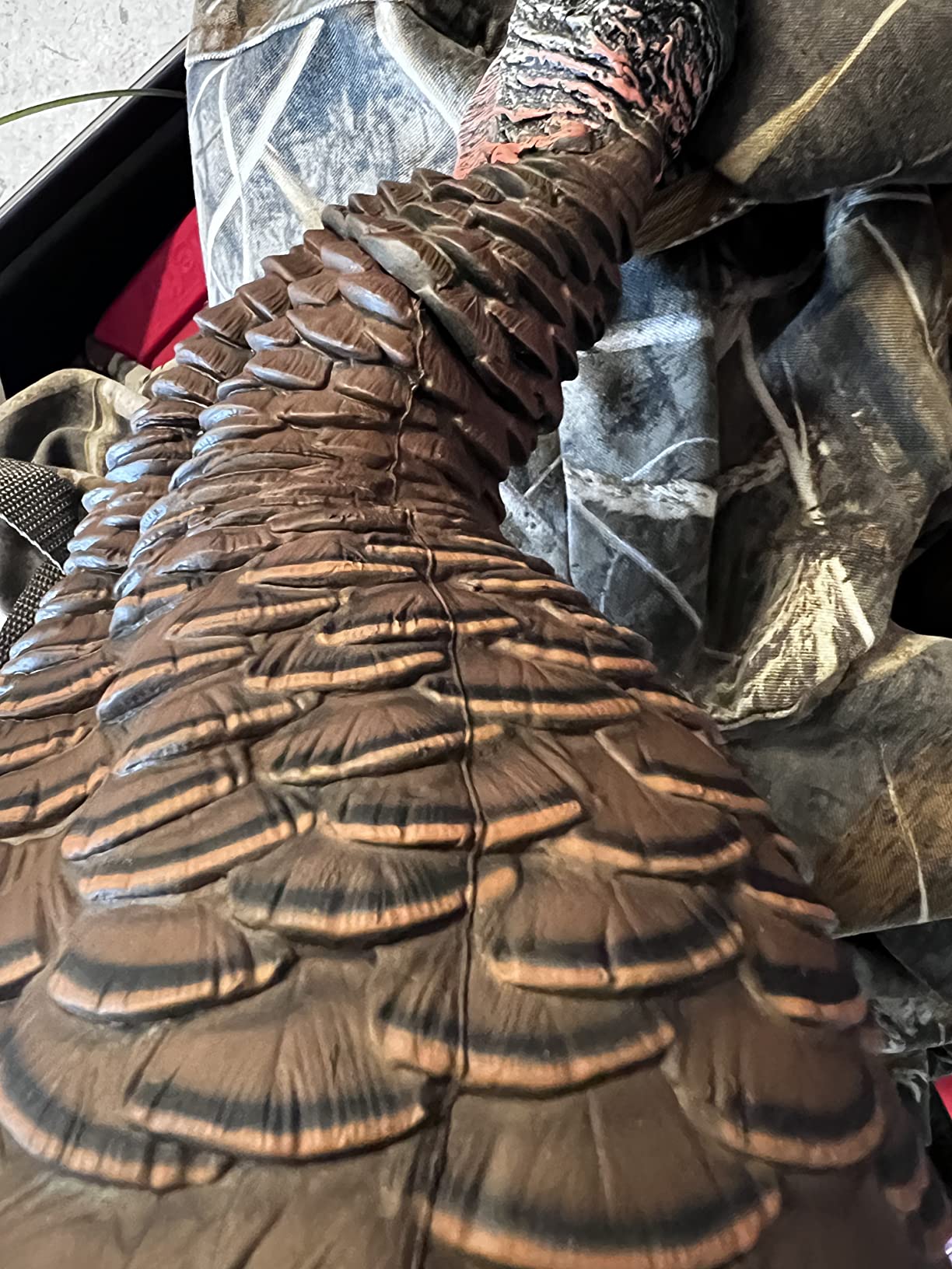 Avian-X HDR Feeding Hen Turkey Decoy | Durable Realistic Lifelike Standing Hunting Decoy with Carry Bag & Integrated Stake, AVX8107 customer photo 2