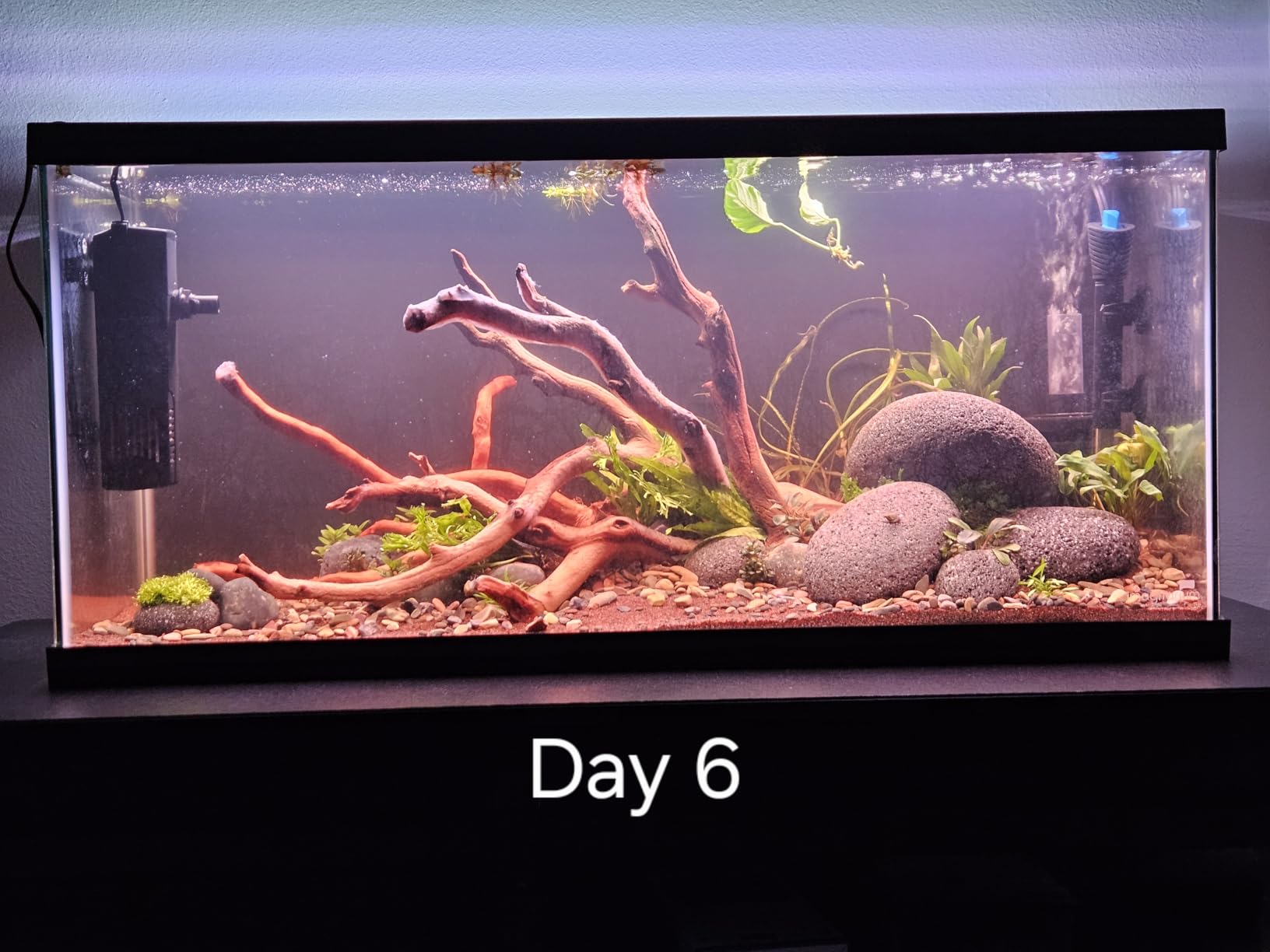 NICREW Internal Aquarium Filter for Fish Tank up to 20 Gallons, 100 GPH customer photo 1