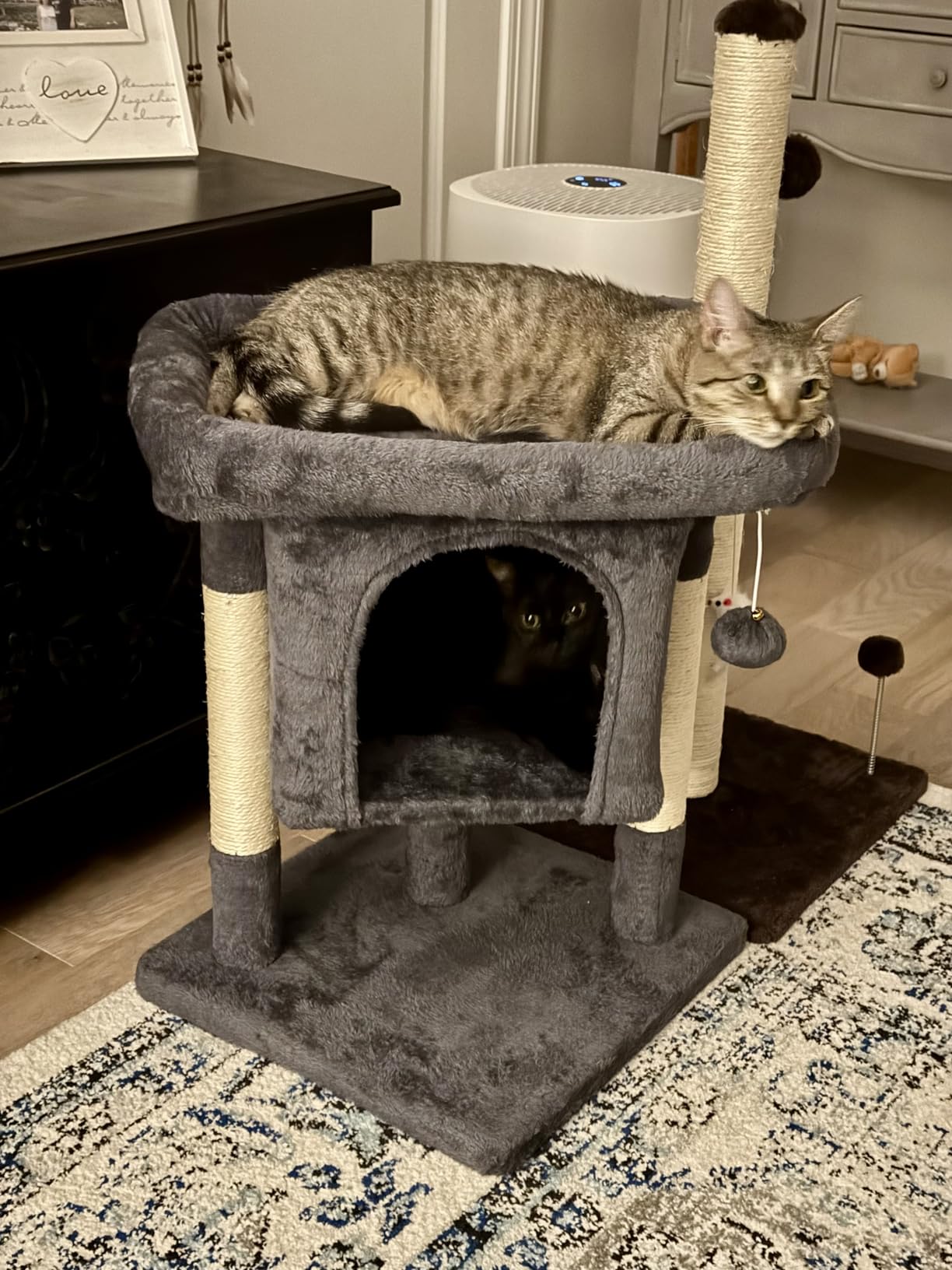Yaheetech Small Cat Tree 23.5in for Kittens & Senior Cats, Low Profile Gray customer photo 1