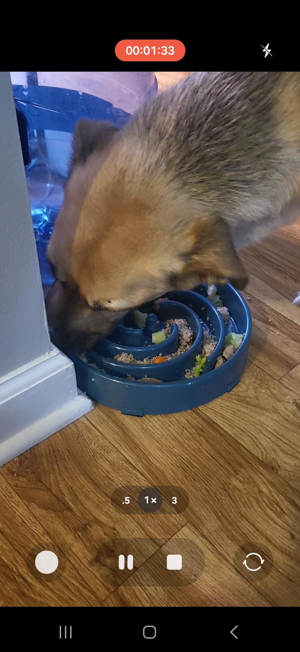 Slow Feeder Maze Puzzle Bowl - Large Dog Non Slip Interactive Food Dishes - Bloat Stop, Choking Prevention - Pink customer photo 2