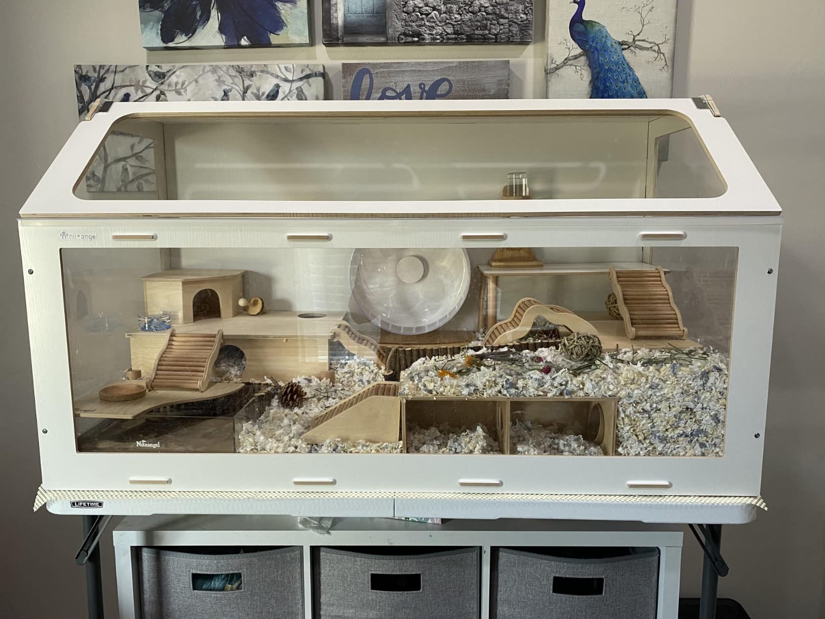 Niteangel Vista Hamster Cage W/Oblique Opening Cage Door - MDF Aspen Small Animal Cage for Syrian Dwarf Hamsters Degus Mice or Other Similar-Sized Pets (Large - 47.1 x 22.7 x 26.9 inches, Burlywood) customer photo 1