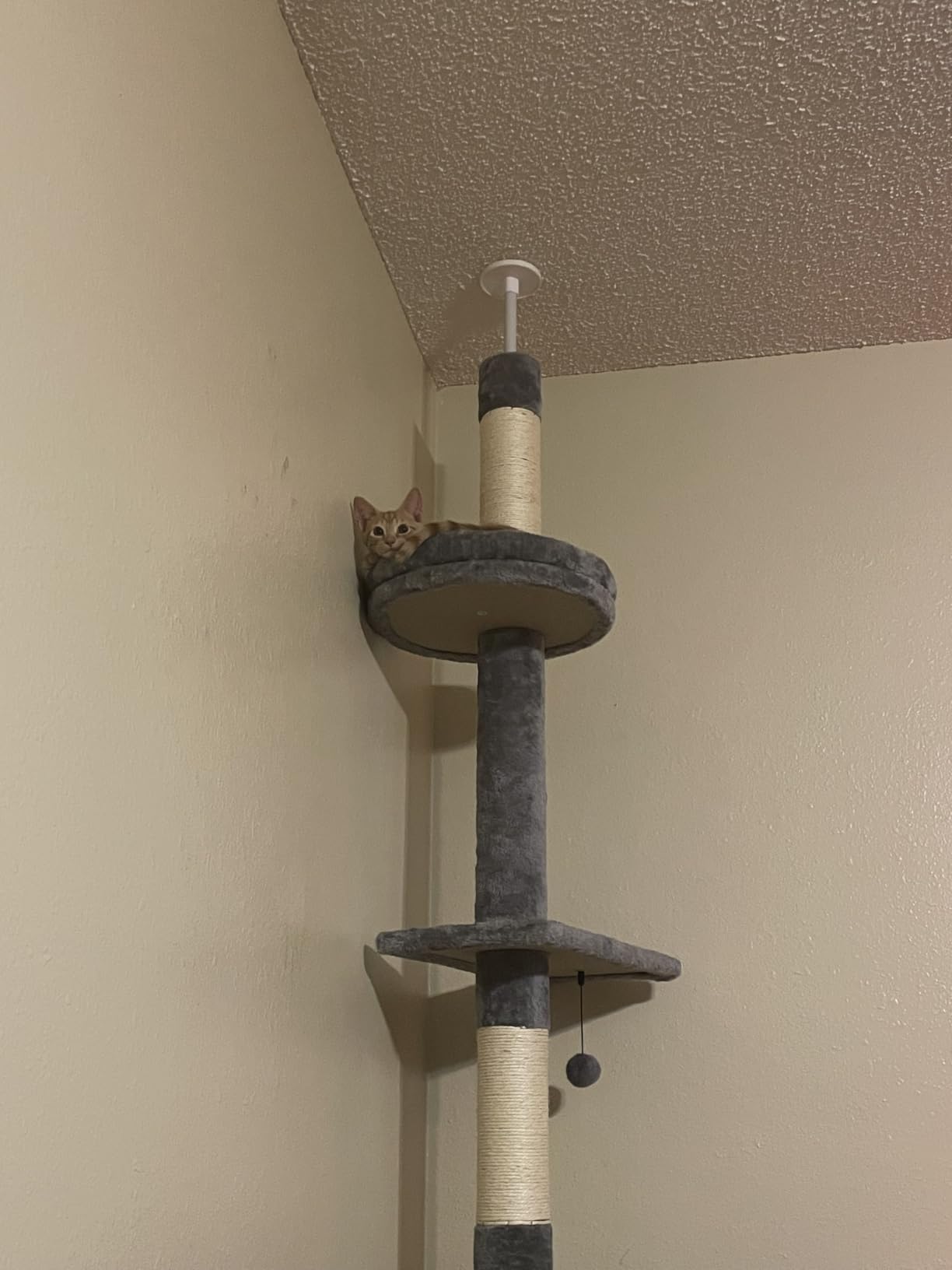 PETEPELA 5-Tier Floor to Ceiling Cat Tree, 95-107In Tall Cat Tower Beige customer photo 2