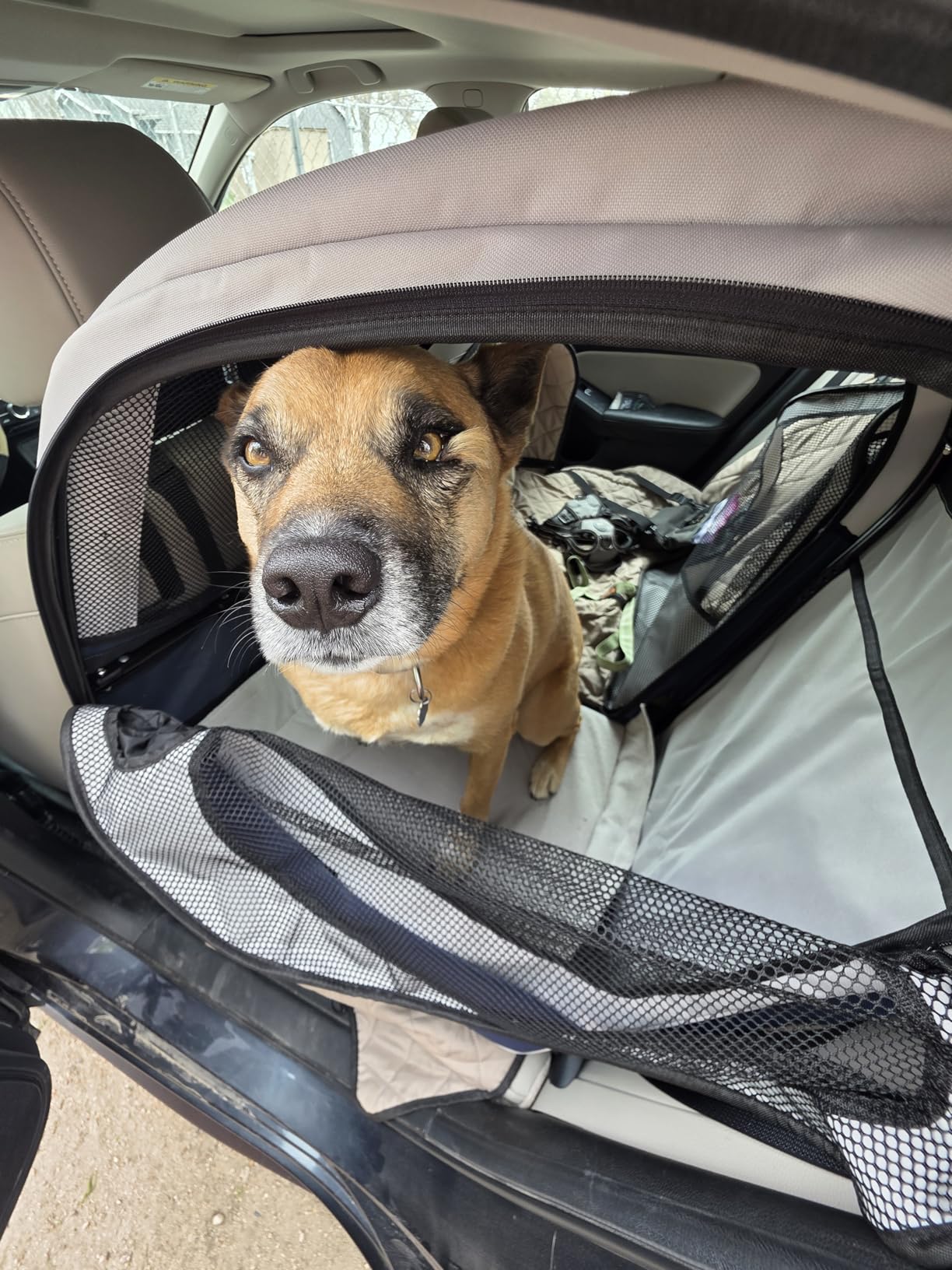 PetSafe Happy Ride Collapsible Travel Dog Crate customer photo 1