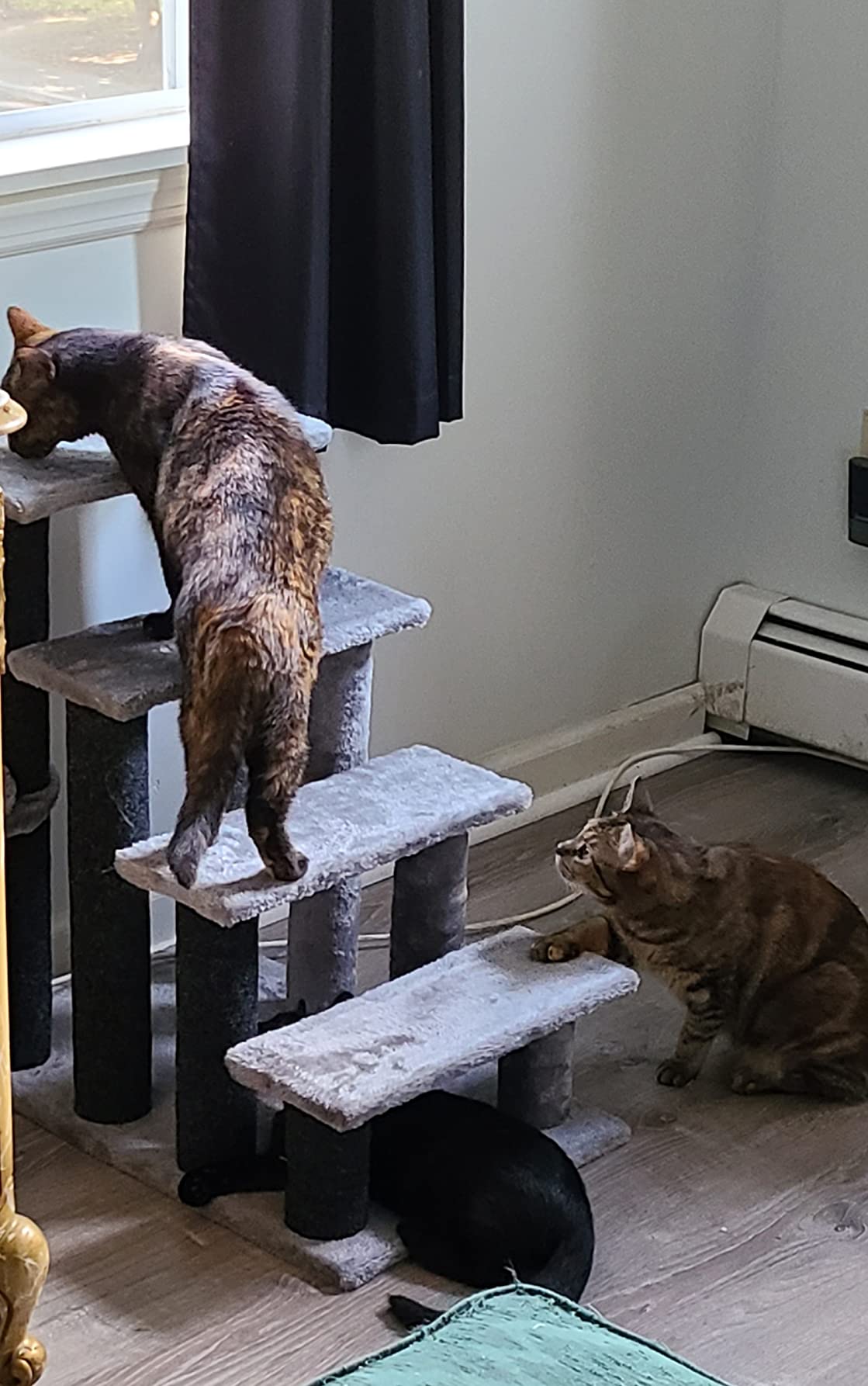 PawHut Cat Stairs 2 in 1 Cat Tree Tower for High Bed Sofa 4-Step Light Gray customer photo 1