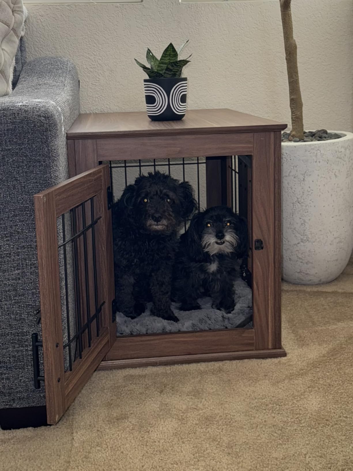 beeNbkks Furniture Style Dog Crate End Table, Double Doors Wooden Wire Dog Kennel with Pet Bed, Decorative Pet Crate Dog House Indoor Medium Large customer photo 1